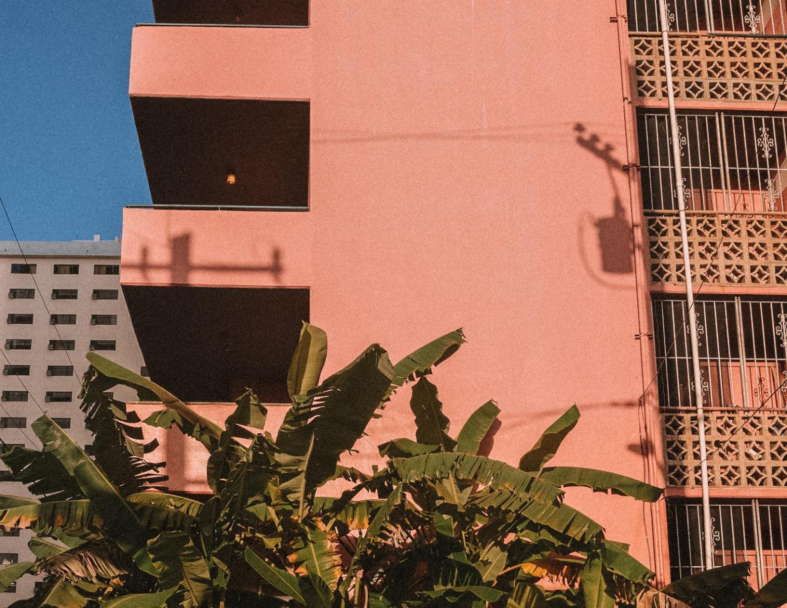 Royal Grove Waikiki Hotell Honolulu Exteriör bild